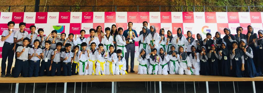 taekwondo sahodaya state championship